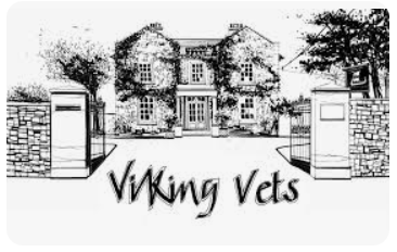 Line drawing of Viking Vets - veterinary practice in Henbury, Bristol