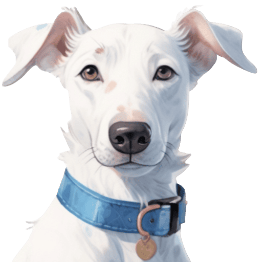 Buddy & Friends – Books by Cats Clawson